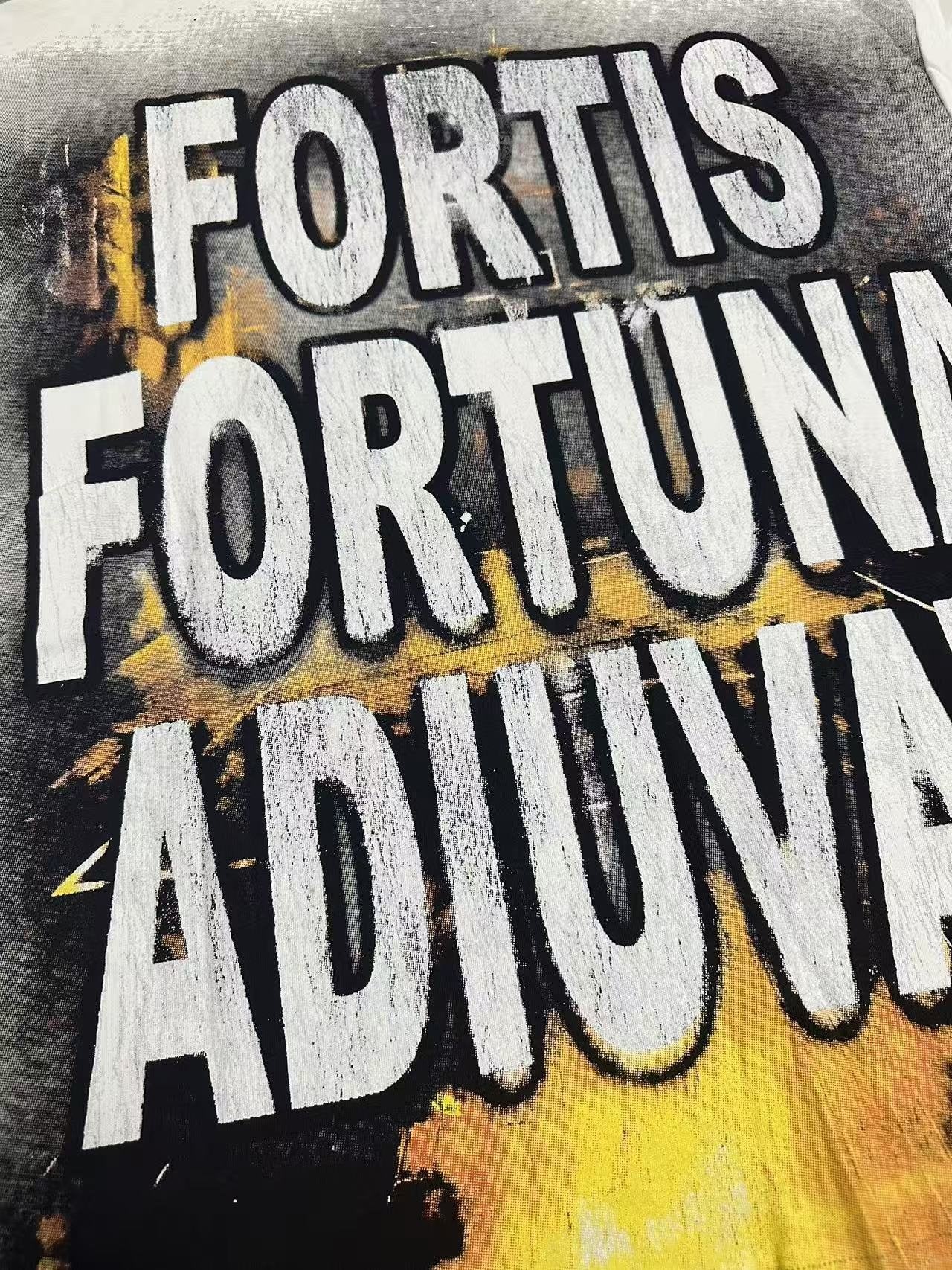 Godspeed Fortis Fortuna Adiuvat Graphic T-Shirt — detail